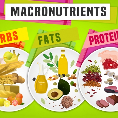 What are macronutrients and what do they do?